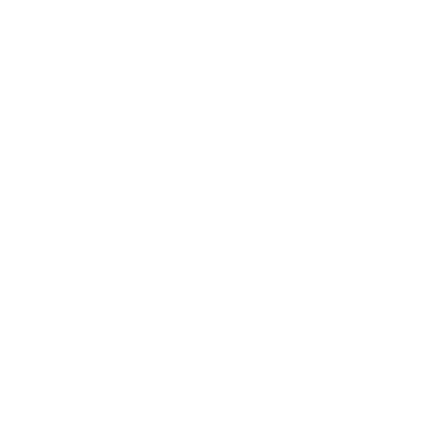 YOL DOLGUSU